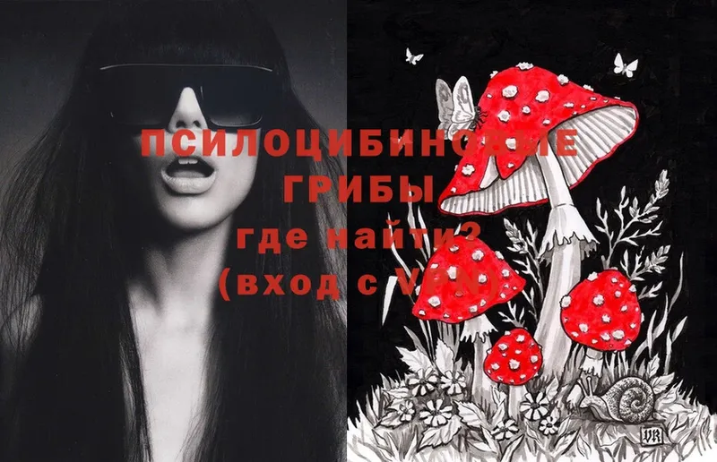 Псилоцибиновые грибы MAGIC MUSHROOMS  Поронайск 